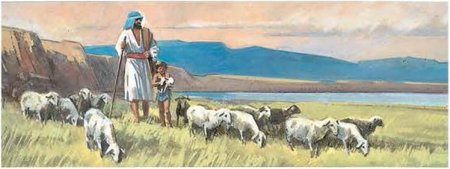 Древняя Греция скотоводство овцы