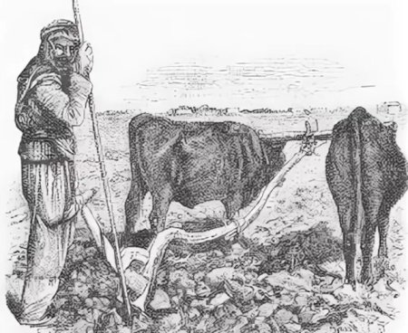 Земледелие в древней Палестине