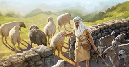 Отделить овец от козлищ Евангелие