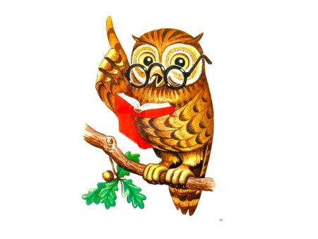 Сова мудрости