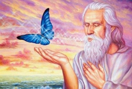 Притча о мудреце и бабочке