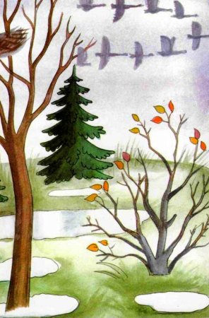 Поздняя осень иллюстрации