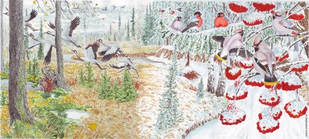 Советские иллюстрации природа