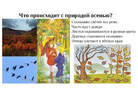 Признаки осени