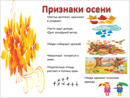 Приметы осени для дошкольников