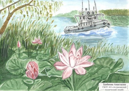 Астраханский заповедник рисунки