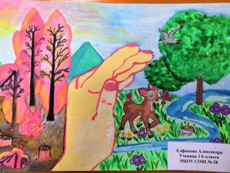 Экология родного края рисунки