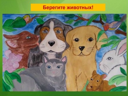 Рисунок на тему сопереживание