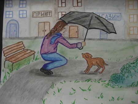 Мальчик кормит собаку