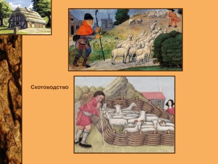 Монтайю окситанская деревня