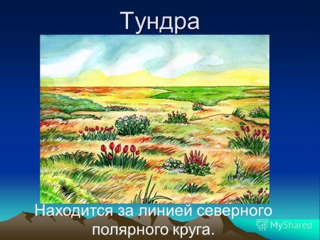 Изображение природных зон