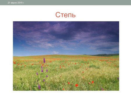 Степи биология