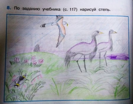 Зона степей рисунок