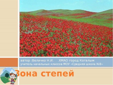 Зона степей рисунок