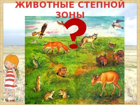 Природные зоны степь России 4 кл