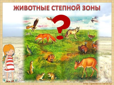 Нарисовать степь