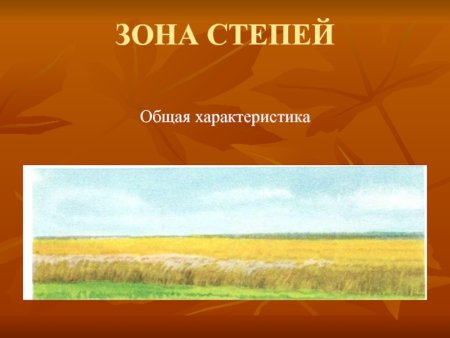 Степи окружающий мир