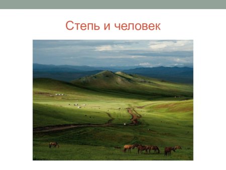 Зона степей