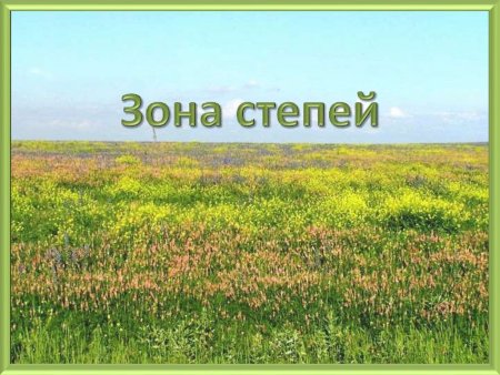 Картина пустыни для детей