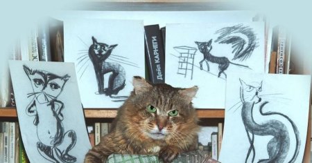 Конкурс я художник