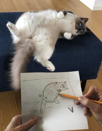 Художник карикатура