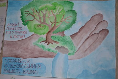 Акция сохраним можжевельник Крыма