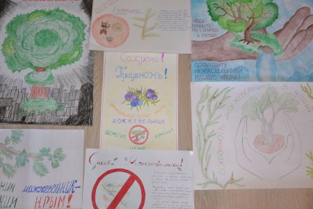 Плакат сохраним можжевельники Крыма