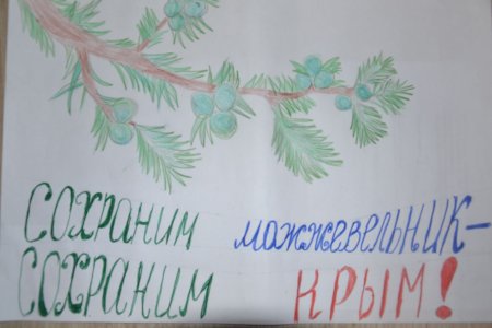 Сохраним можжевельник рисунок