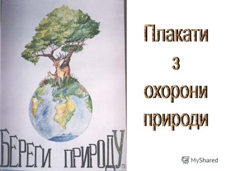 Сохраним можжевельник рисунок