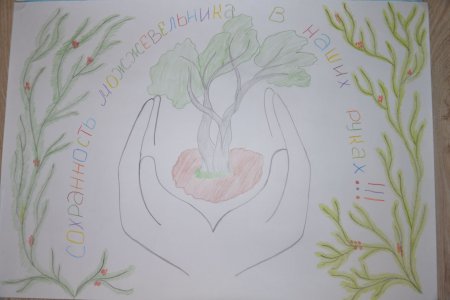 Пейзаж цветными карандашами