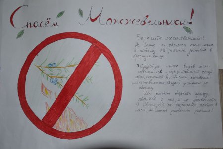 Сохрани можжевельники Крыма