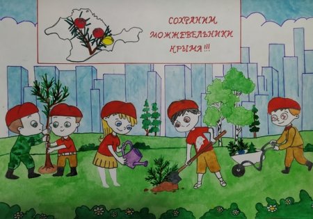 Сохраним можжевельники Крыма рисунки