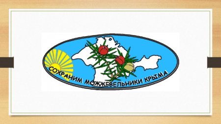 Конкурс можжевельник Крыма рисунок