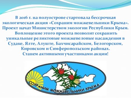 Крымская сосна в живописи