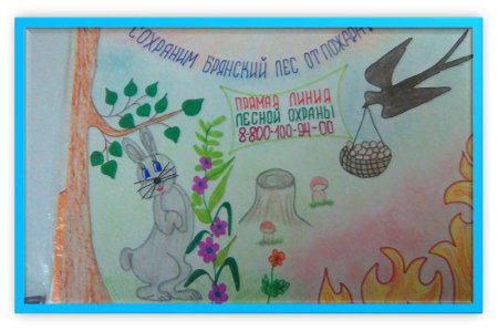 Можжевельник раскраска