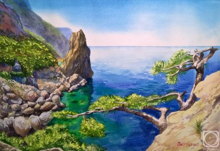 Можжевельник пейзаж