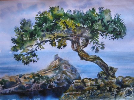 Сохраним можжевельник