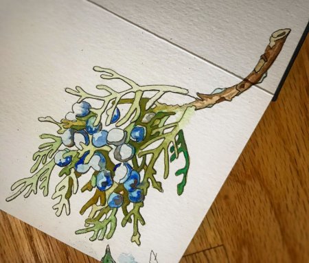 Картина "сосна на песке 1884", Шишкин