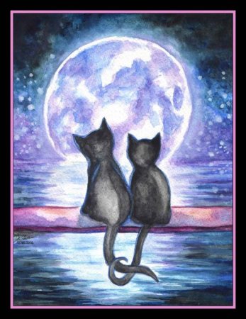 Две кошки на Луне