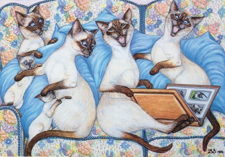 Тайская кошка арт