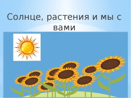 Солнце растения и мы с вами