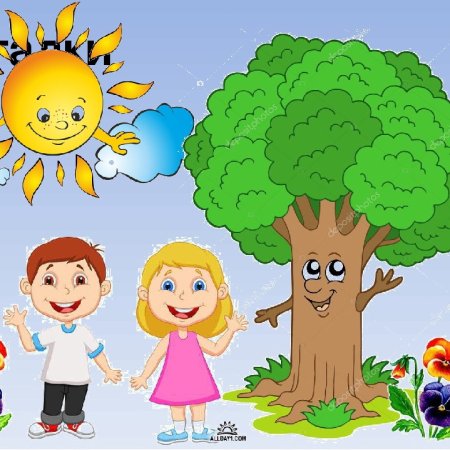 Солнце растения человек