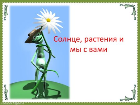 Солнце растения и мы с вами