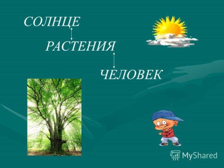 Тайна растений 3 класс