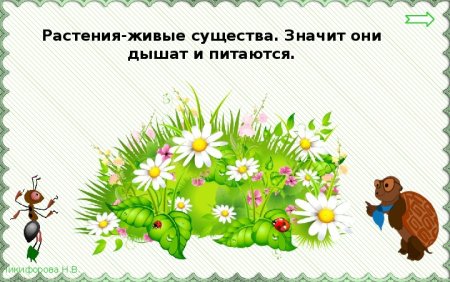 Солнце растения и мы с вами