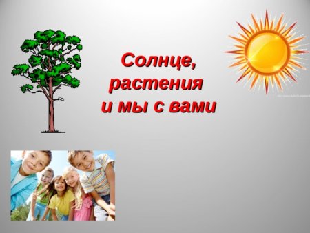 Проект солнце растения и мы с вами