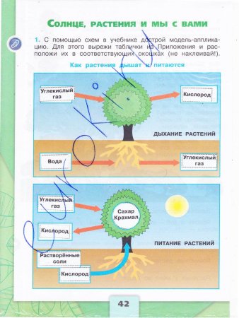 Окружающий мир 3 класс рабочая тетрадь 1 часть Плешаков стр 42