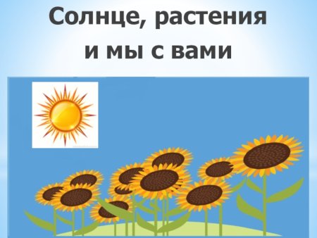 Солнце растения и мы с вами стр 43