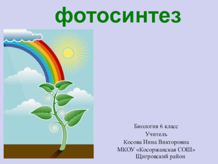 Фотосинтез 6 класс биология