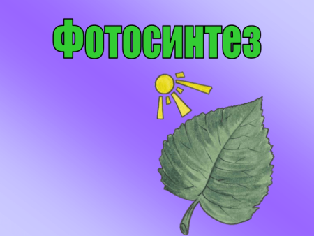Фотосинтез надпись